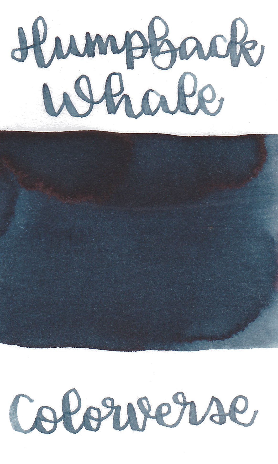 Colorverse Korea Special Series Ink #55 Humpback Whale