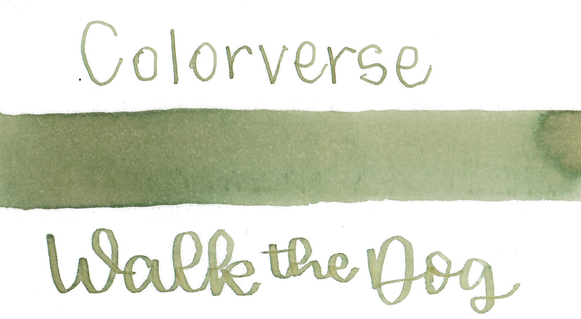 Colorverse 77 Walk The Dog