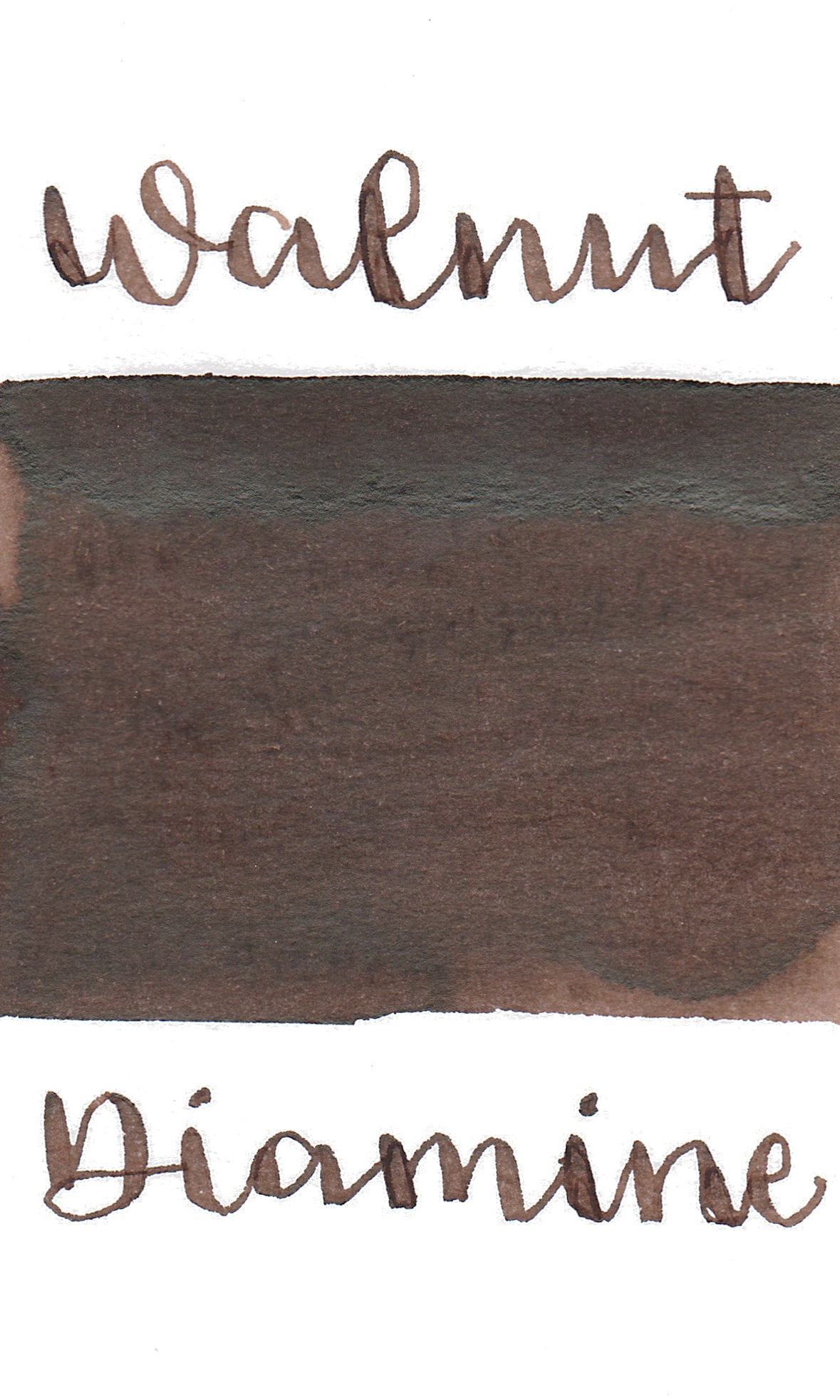 Diamine Purple Edition Standard Walnut