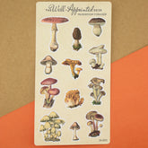 The Well Appointed Desk - Mushroom Forager Sticker Sheet