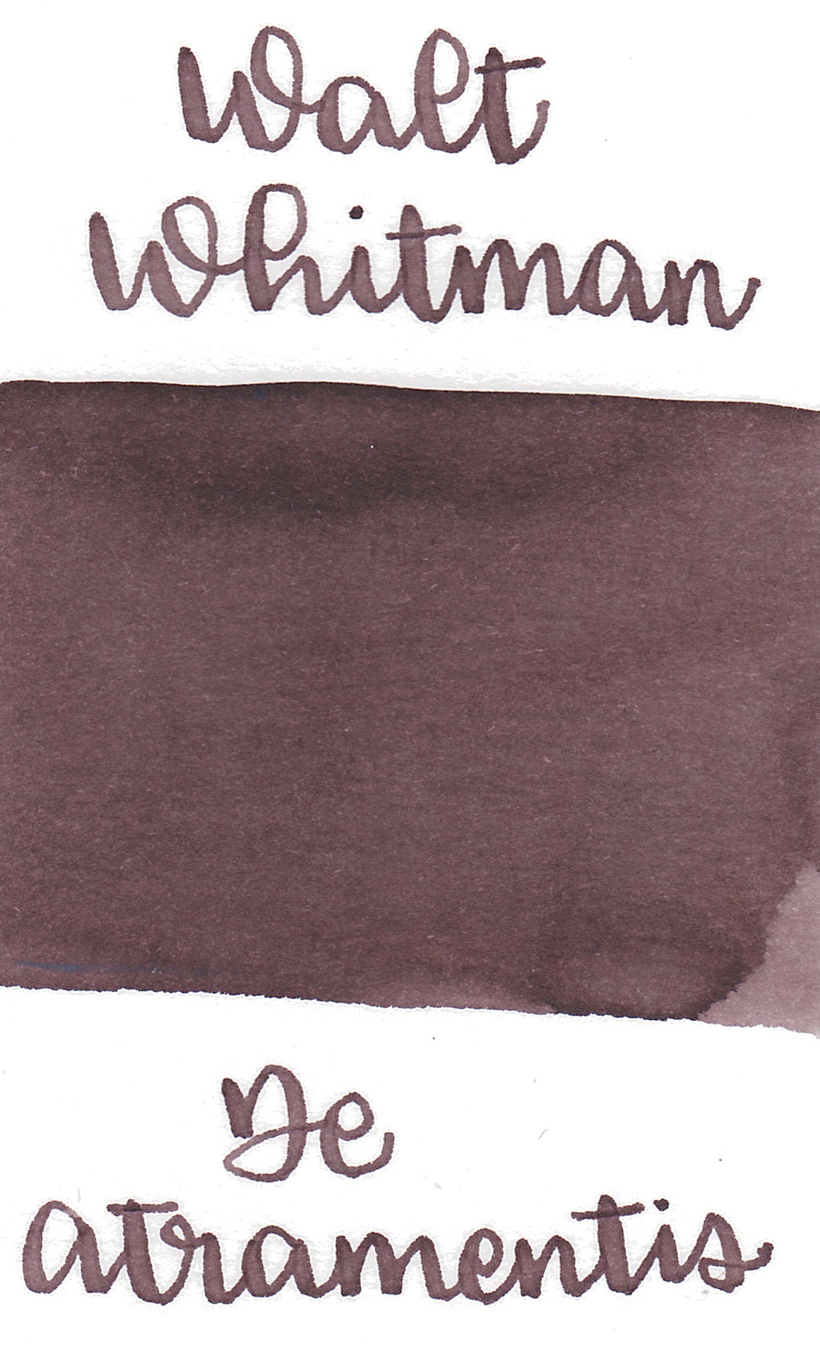 De Atramentis Walt Whitman, Saddle Brown