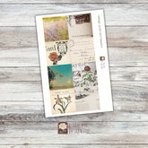 Rose Paperie - Vintage Postcard Squares Sticker Sheet