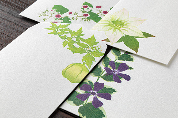 Midori Envelopes 170 Four Designs Summer Flowers