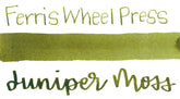 Ferris Wheel Press - Calligraphy Ink - Juniper Moss
