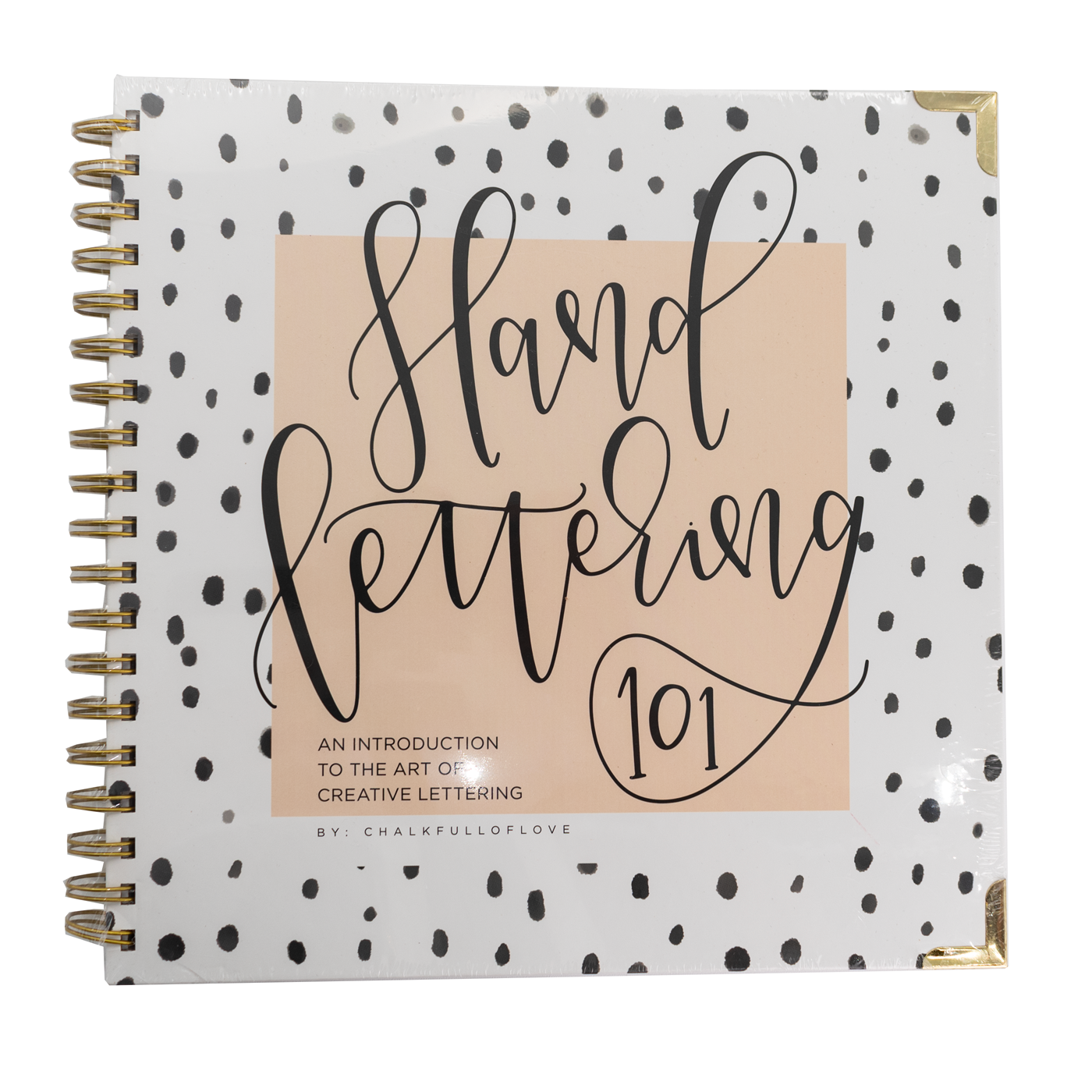 Paige Tate & Co. Hand Lettering 101 : A Step-by-Step Calligraphy Workbook
