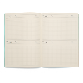 Laconic style Notebook A5 - 100 Days