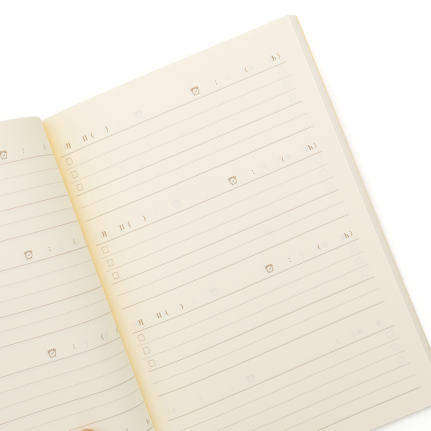 Midori Diary Good Morning