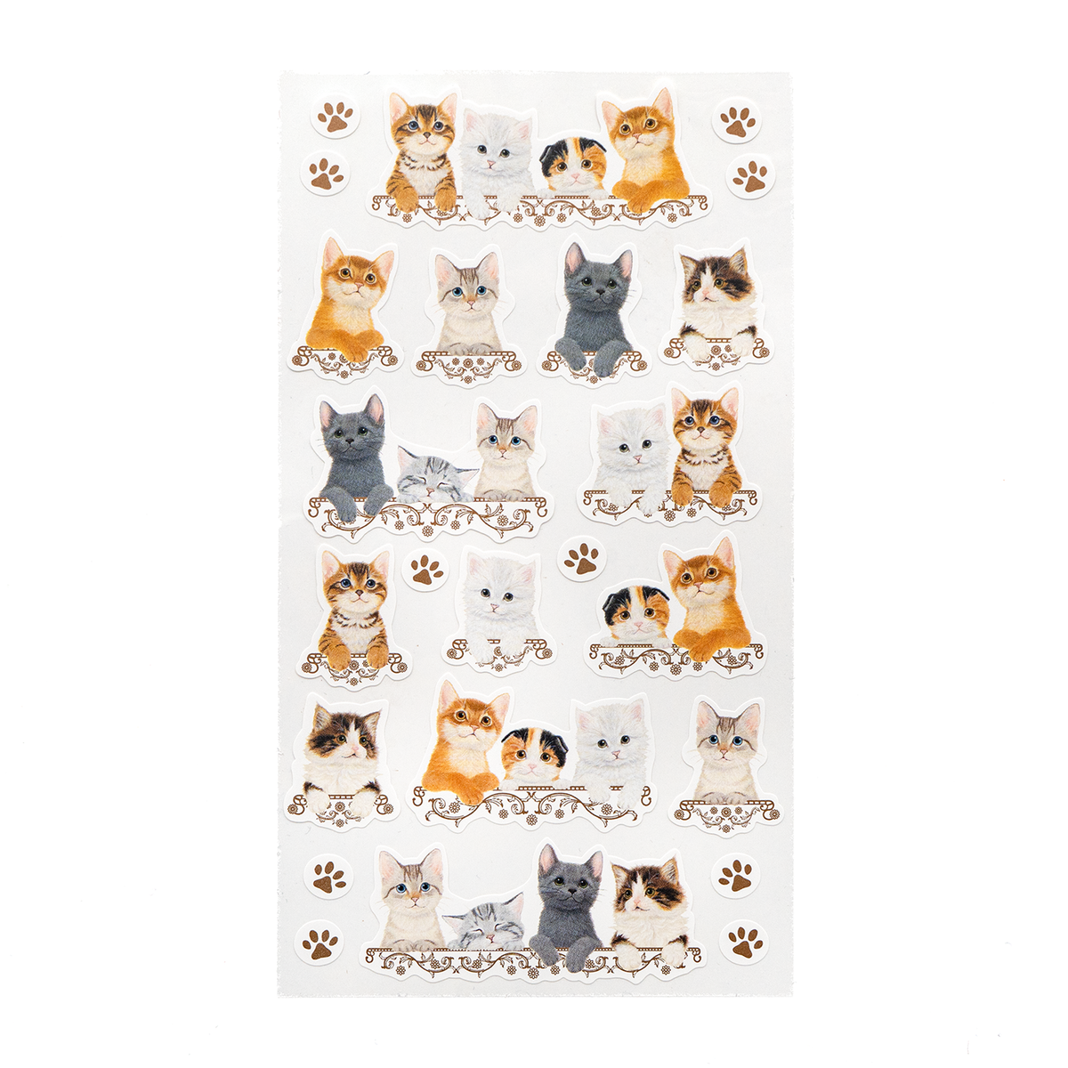 NB.CO - Large Kitten Stickers