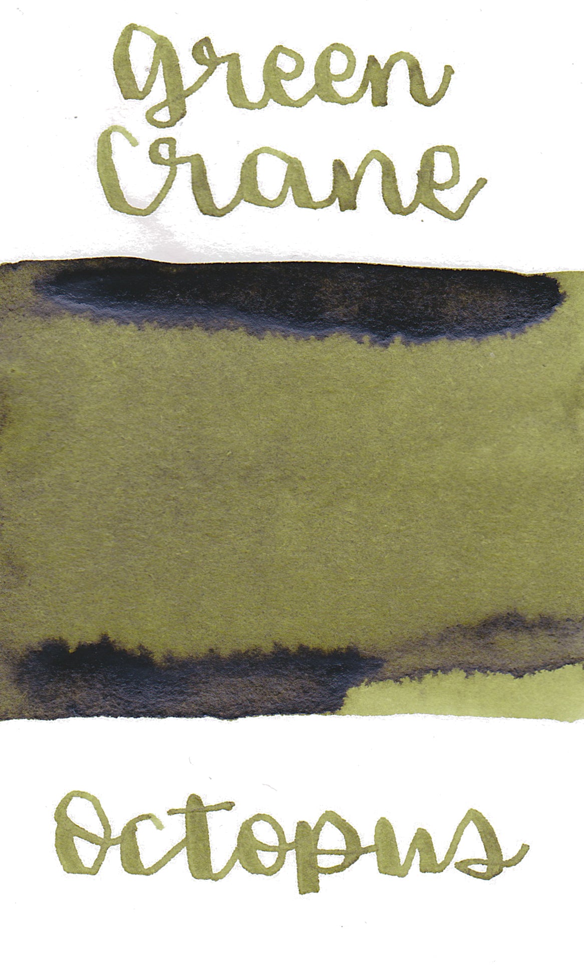 Octopus Write and Draw Ink 371 Green Crane