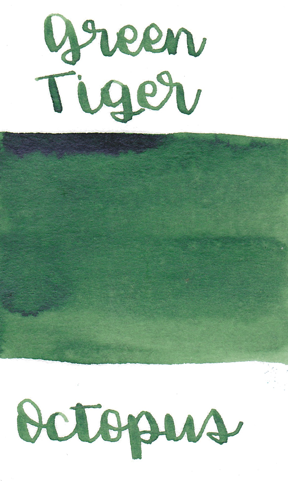Octopus Write and Draw Ink 337 Green Tiger