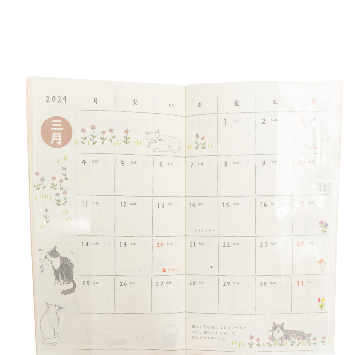 Midori 2024 Pocket Diary Slim- Cats