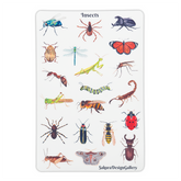 Sakura Design Gallery - Vinyl Stickers - Insects