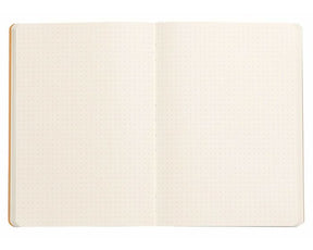 Rhodia Rhodiarama Webnotebook Softcover A5 - Gold