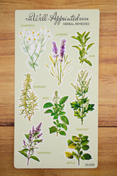 The Well Appointed Desk - Herbal Remedies Sticker Sheet