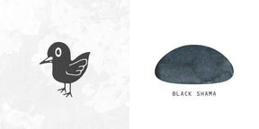 Troublemaker Black Shama