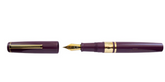 Esterbrook Model J Blackberry Ebonite Fountain