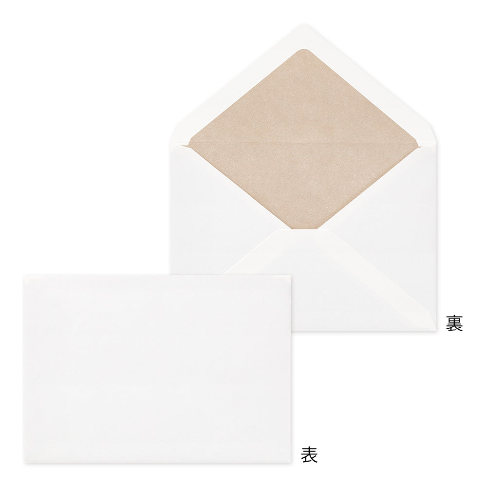Midori Giving A Color White Envelopes