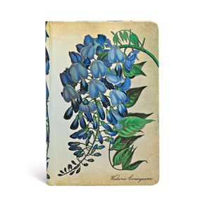 Paperblanks Painted Botanicals- Blooming Wisteria Mini