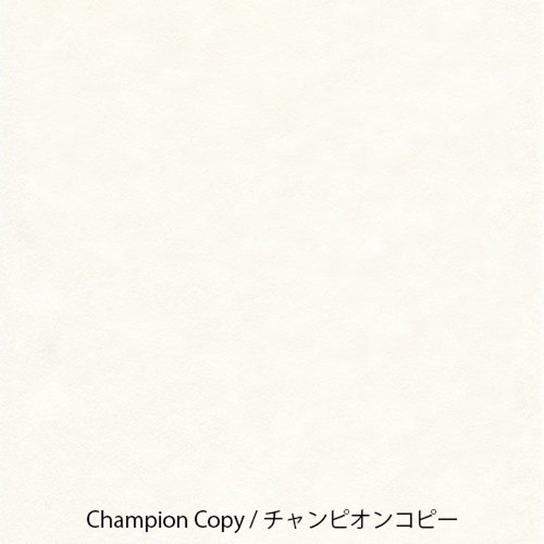 Yamamoto Paper Champion Copy A4 Loose Leaf 50 Sheets