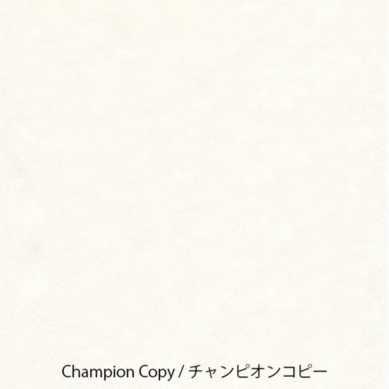 Yamamoto Paper Champion Copy A4 Loose Leaf 50 Sheets