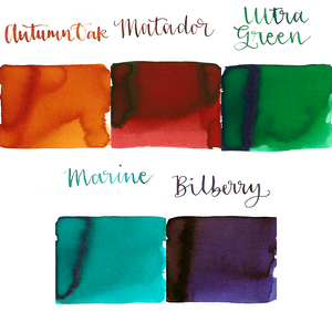 Diamine 20-Pack Cartridge Set - Fiesta
