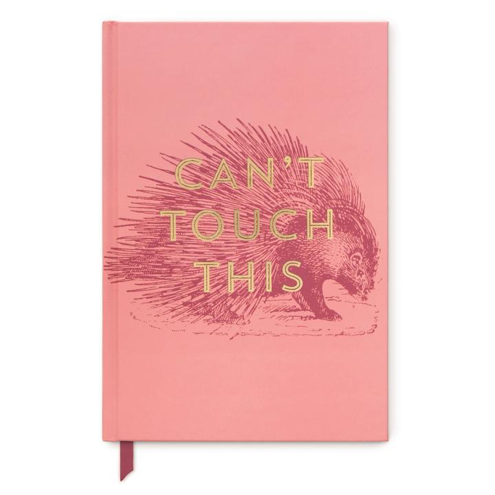 DesignWorks Vintage Sass Journal | "Can't Touch This"