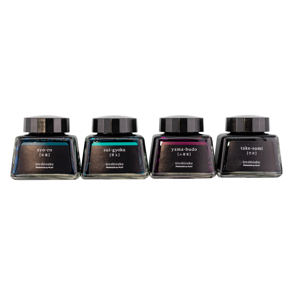 Iroshizuku Ink: Beautifully Colored Fountain Pen Ink for Daily Use –  CHL-STORE