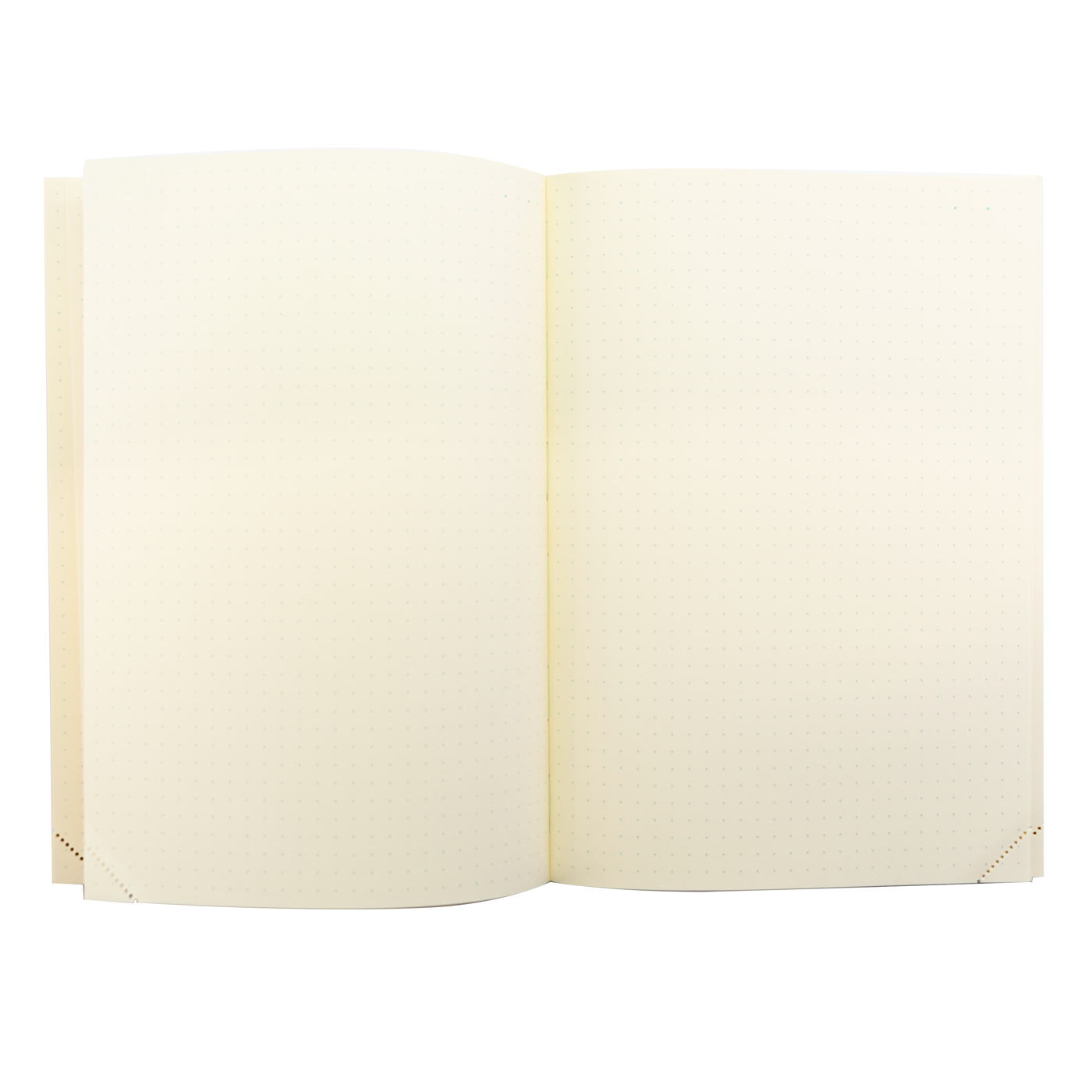 Midori MD Notebook Journal A5 - 1 Day 1 Page - Dot Grid