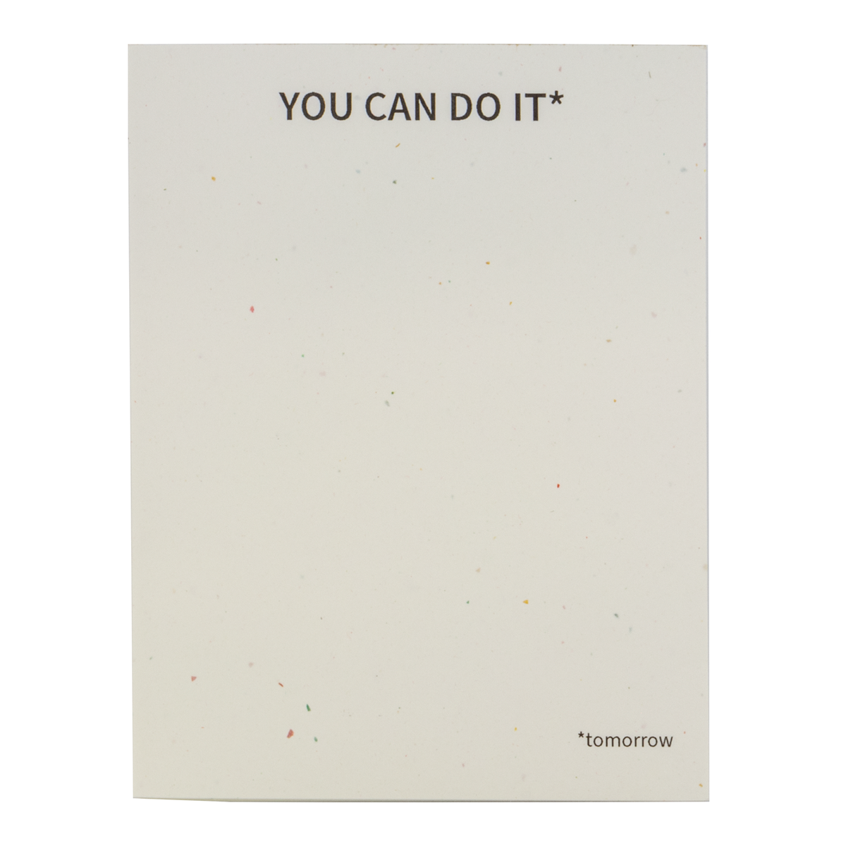 Public School Paper Co. You Can Do it (Tomorrow) Notepad