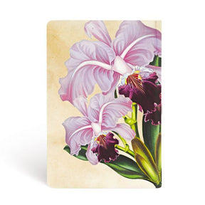 Paperblanks Painted Botanicals- Brazilian Orchid Mini