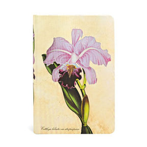 Paperblanks Painted Botanicals- Brazilian Orchid Mini