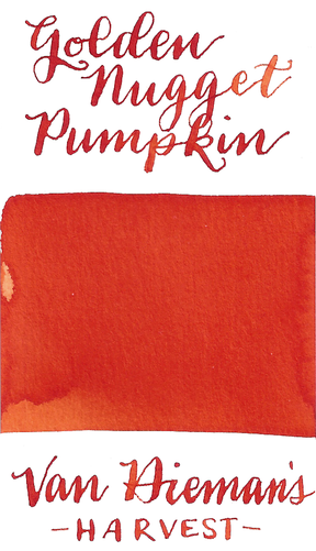 Van Dieman's Harvest Series- Golden Nugget Pumpkin