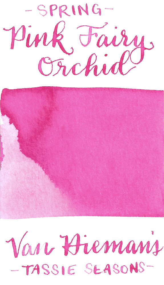 Van Dieman's Tassie Seasons (Spring)- Pink Fairy Orchid
