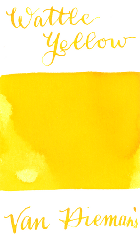 Van Dieman's Wattle Yellow