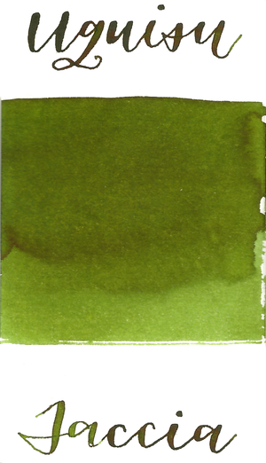 Taccia - Uguisu Olive Green