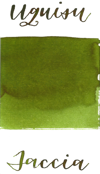 オリーブ 古木 old olive 細川正己 invisible ink srl 超大株 オールド オリーブ 古木 old olive invisible ink raw