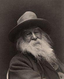 Organics Studio Walt Whitman Leaves of Grass