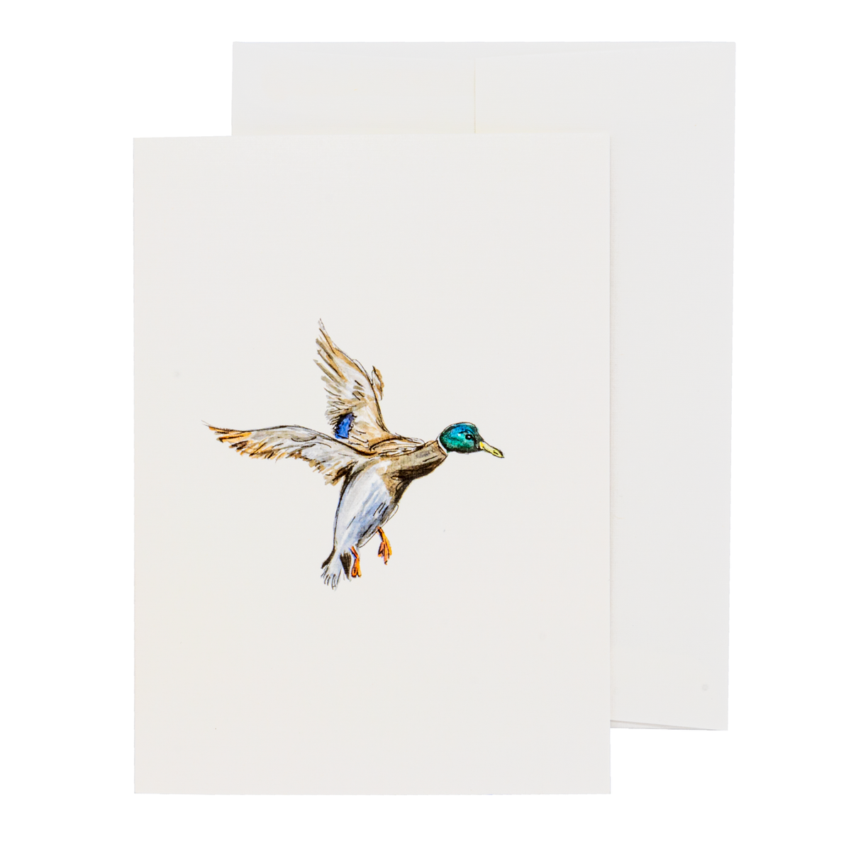 Taylor Paladino Note Card Box Set A2 - Mallard Duck In FLight