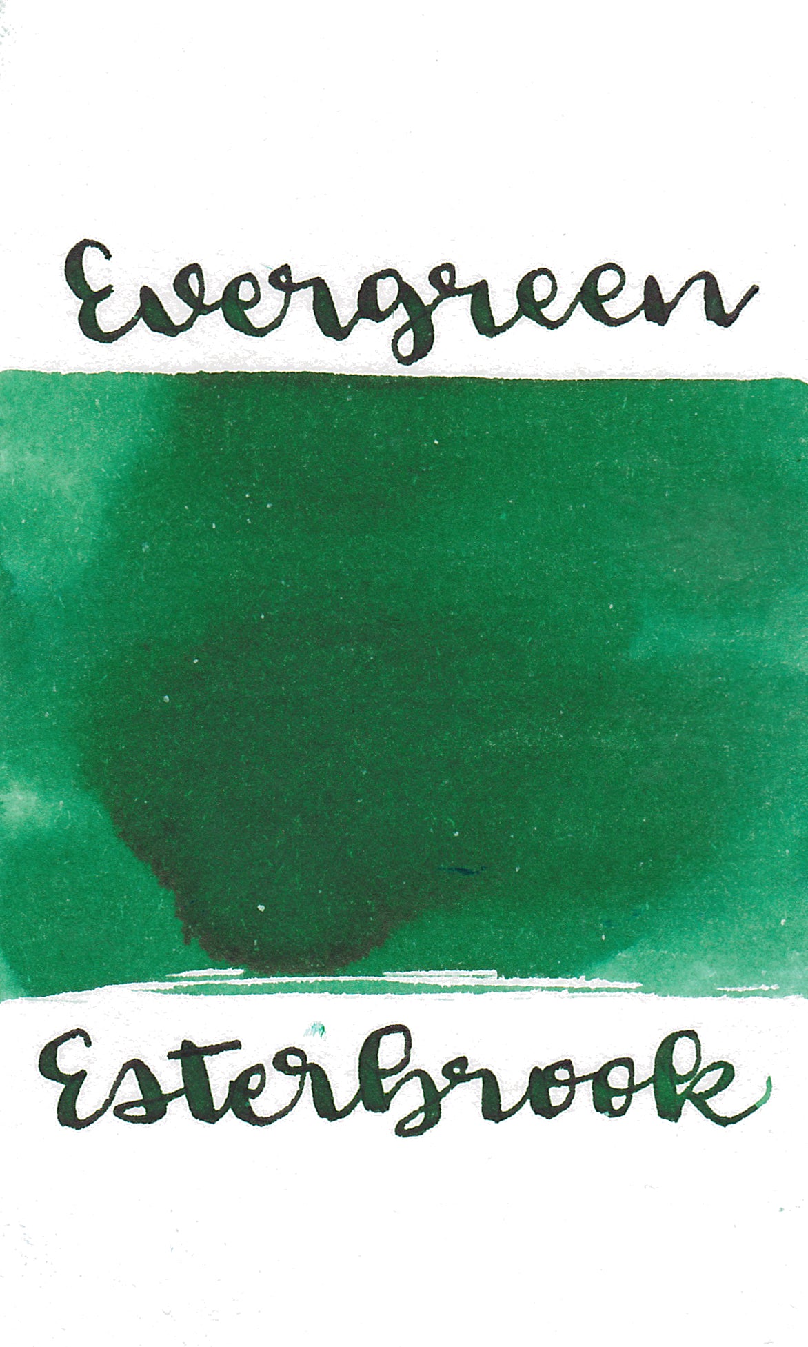 Esterbrook Standard Evergreen Ink