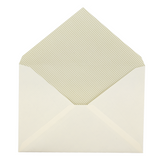 Life Stationery  Envelopes A5 - 10 pack