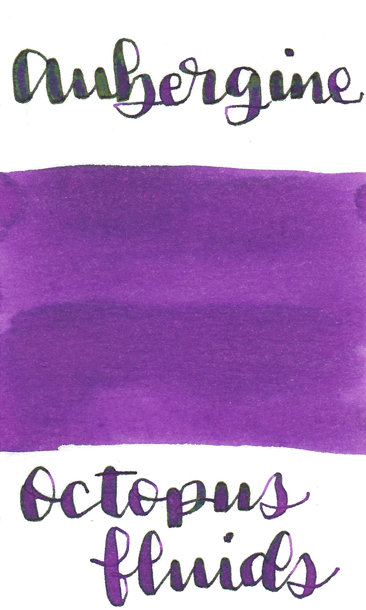 Octopus Aubergine Ink
