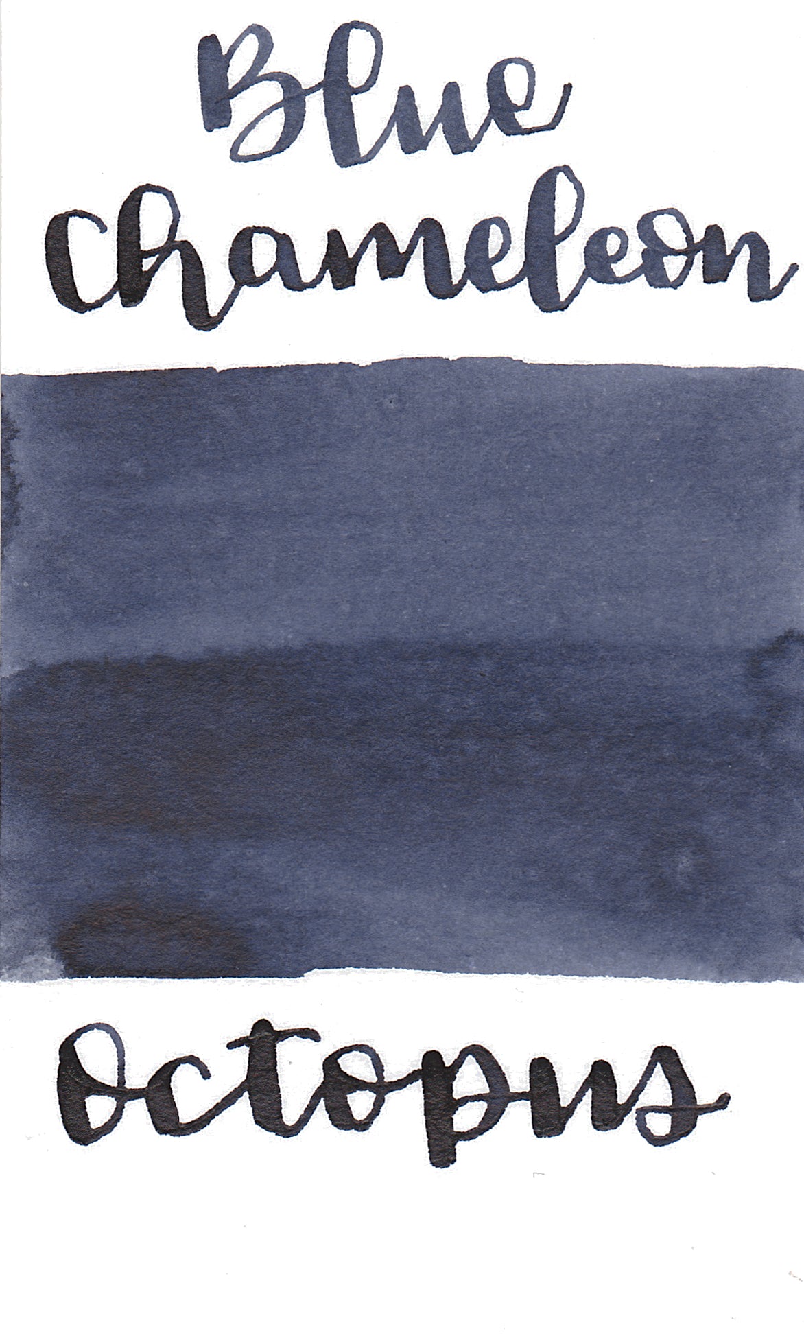 Octopus Write and Draw Ink 425 Blue Chameleon