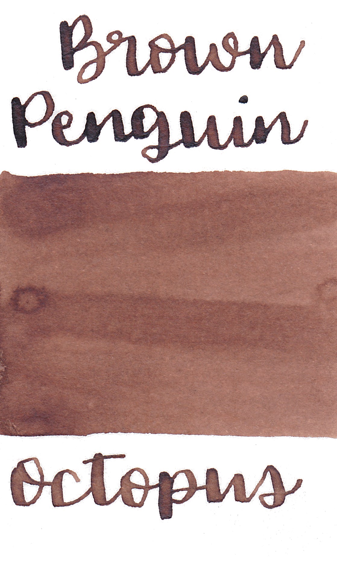 Octopus Write and Draw Ink 431 Brown Penguin