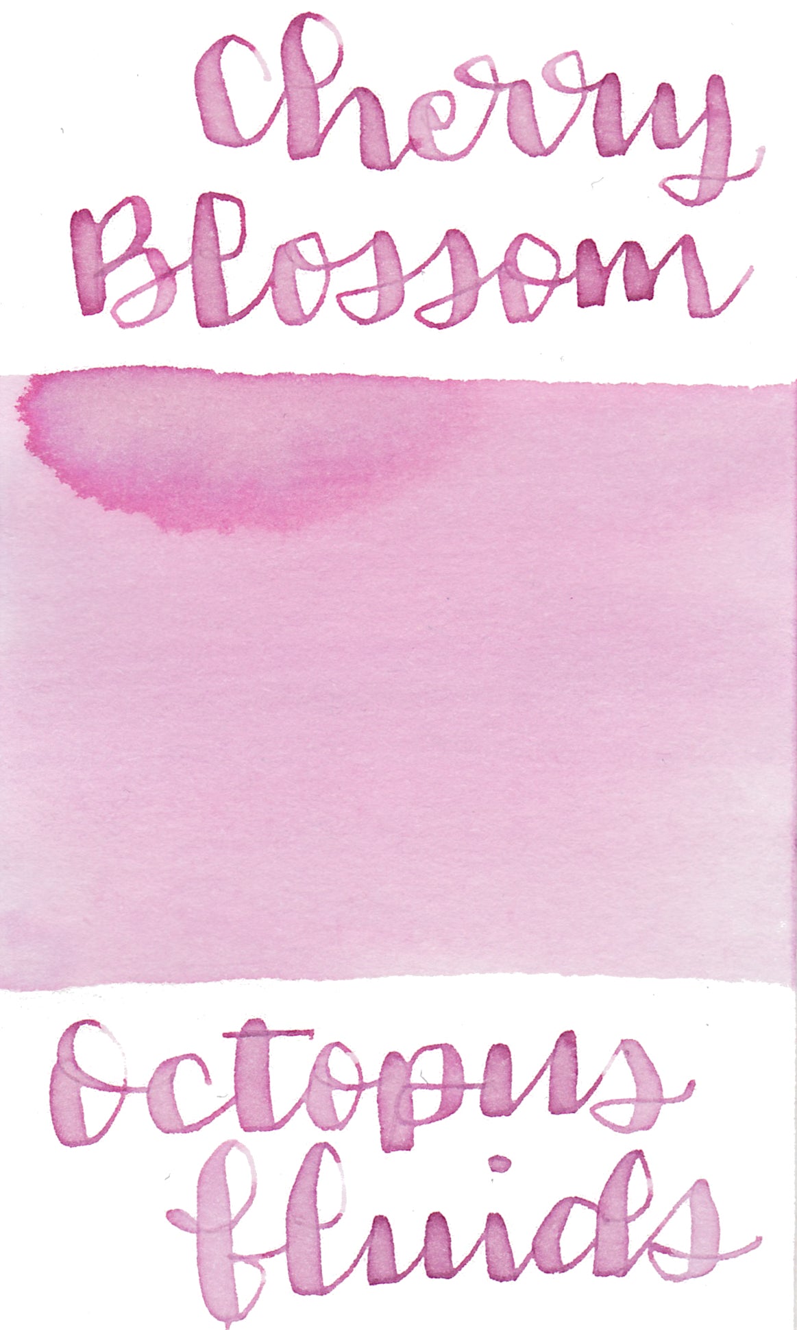 Octopus Cherry Blossom Ink