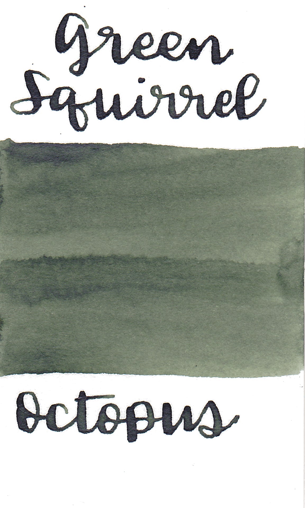 Octopus Write and Draw Ink 553 Green Squirrel
