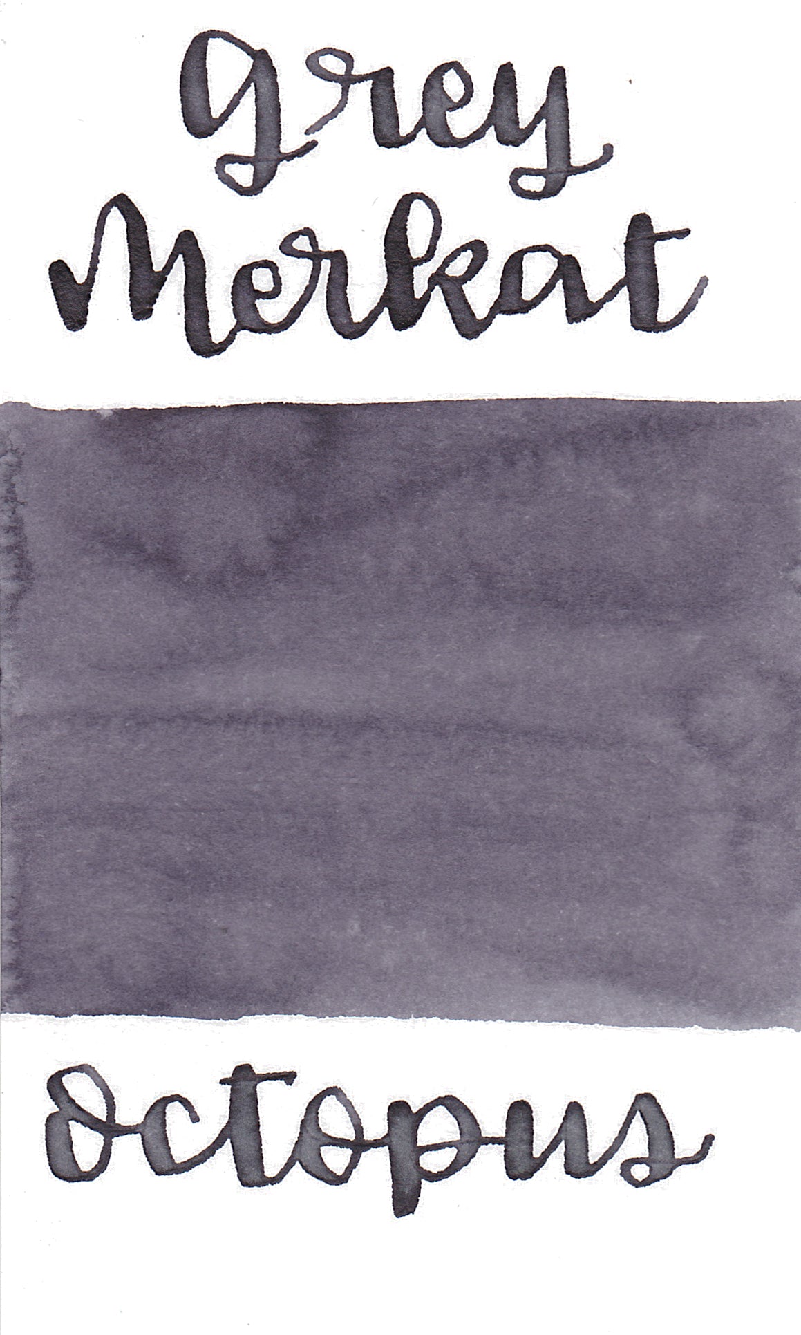 Octopus Write and Draw Ink 465 Grey Merkat