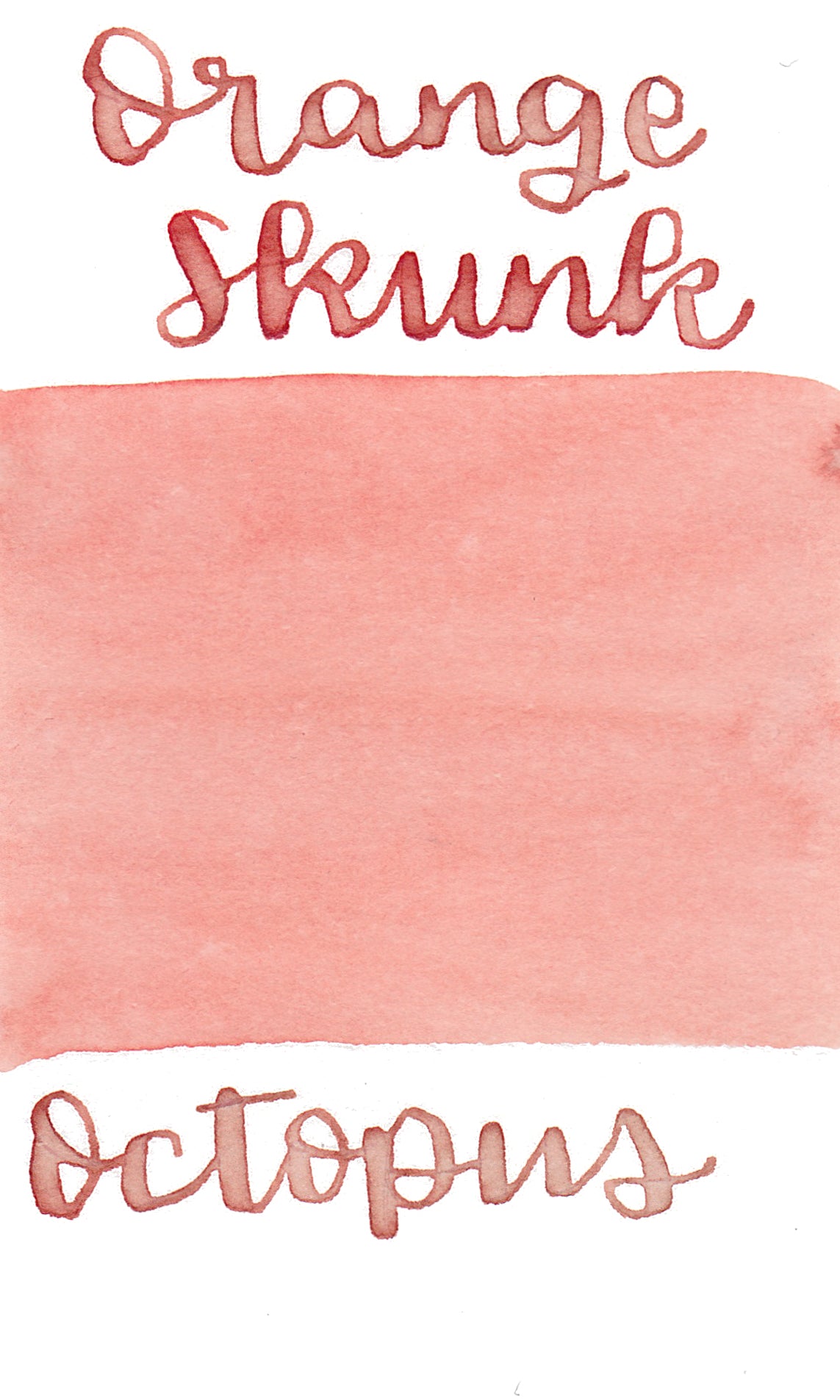 Octopus Write and Draw Ink 431 Orange Skunk