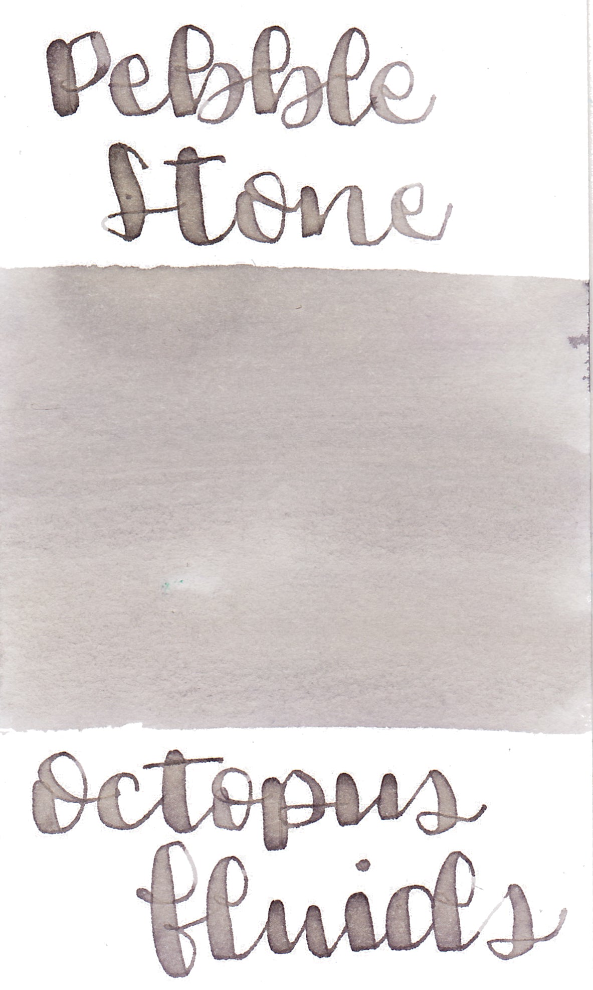 Octopus Pebble Stone Ink