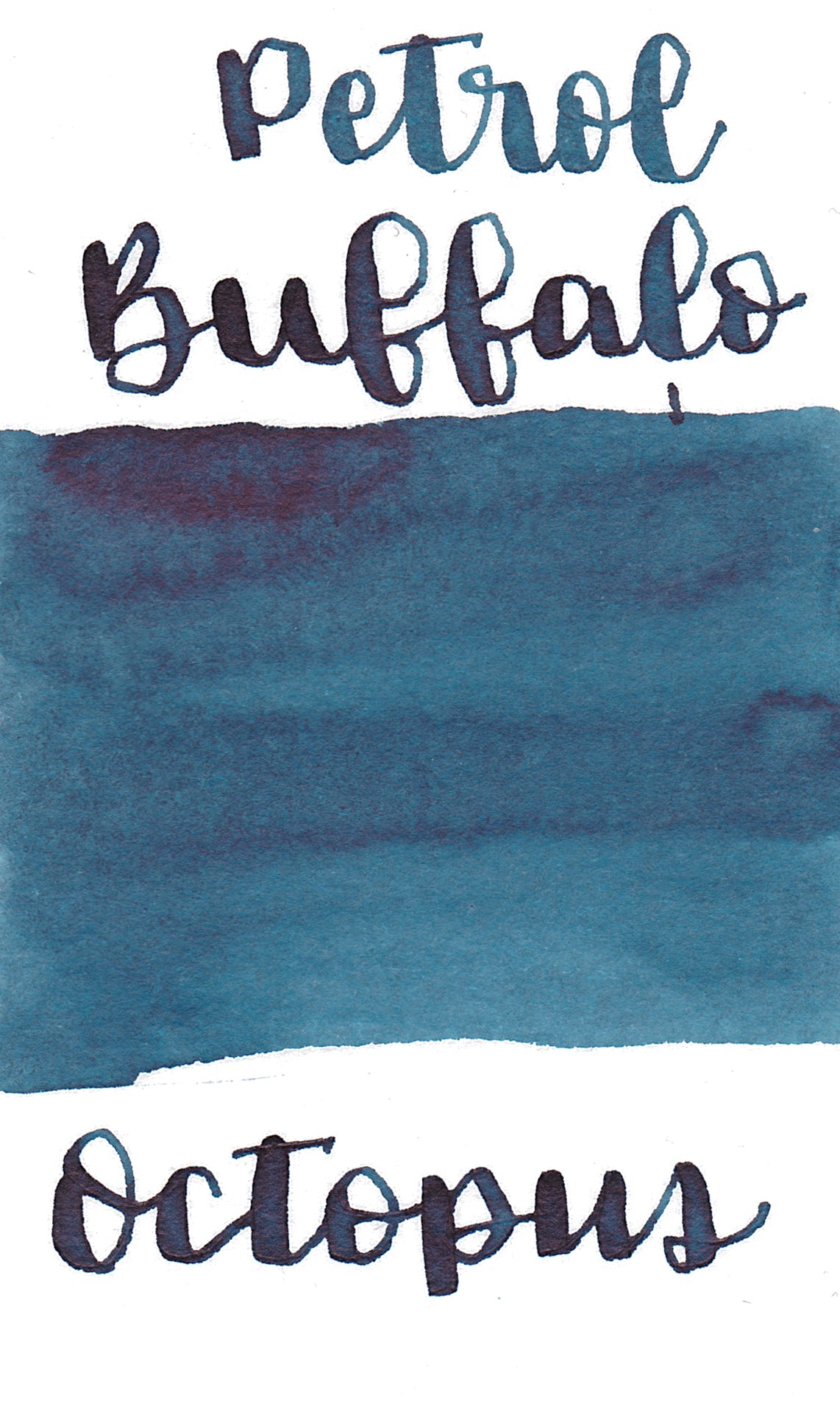 Octopus Write and Draw Ink 419 Petrol Buffalo