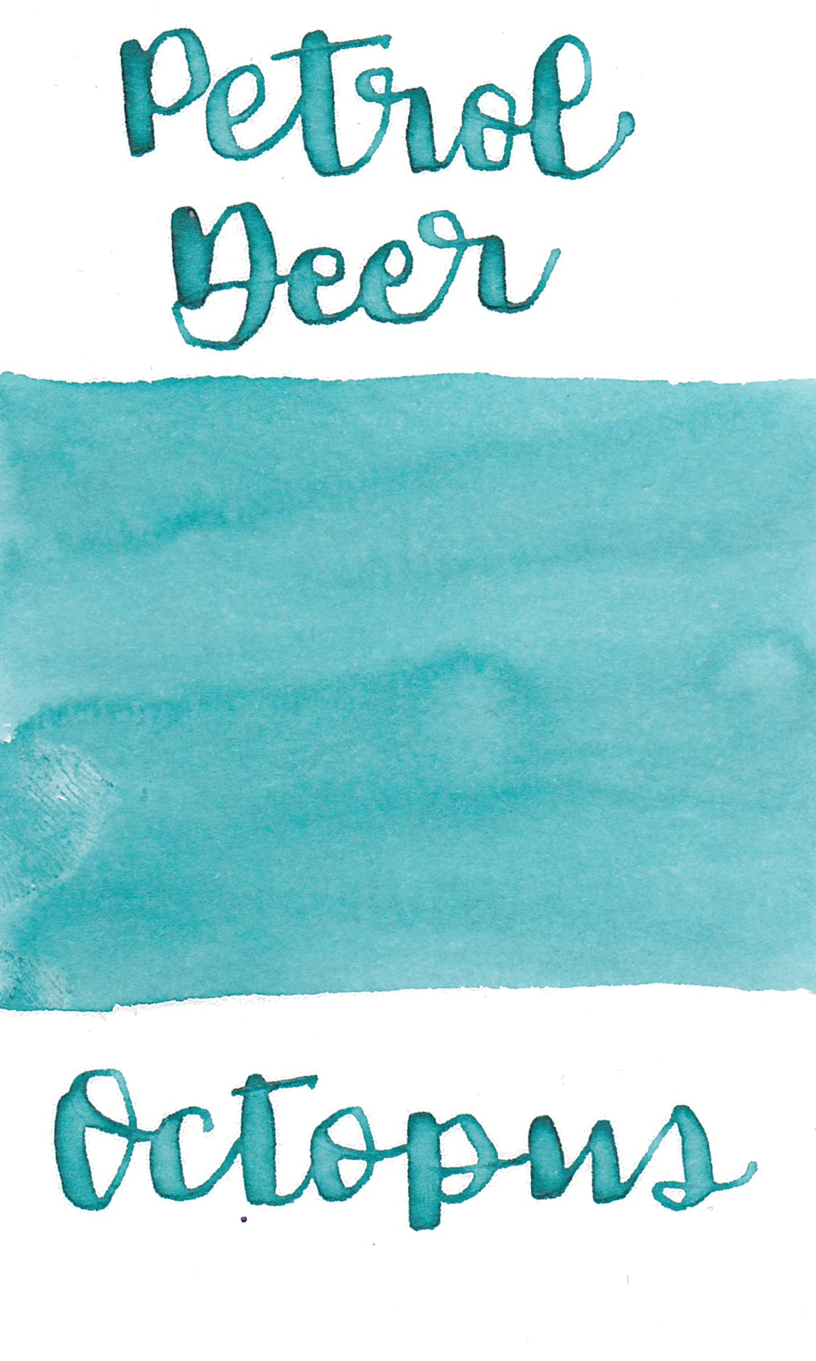 Octopus Write and Draw Ink 467 Petrol Deer
